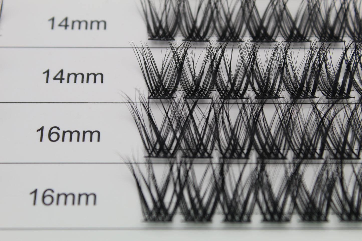 Soft Serenity - Premium DIY Cluster Lash Kit 8mm-16mm